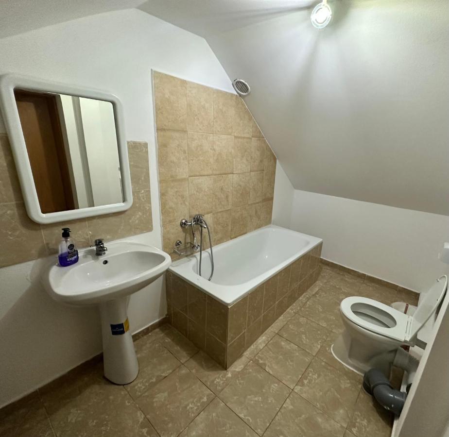 Georgiana Apartments 2 Temeşvar Dış mekan fotoğraf