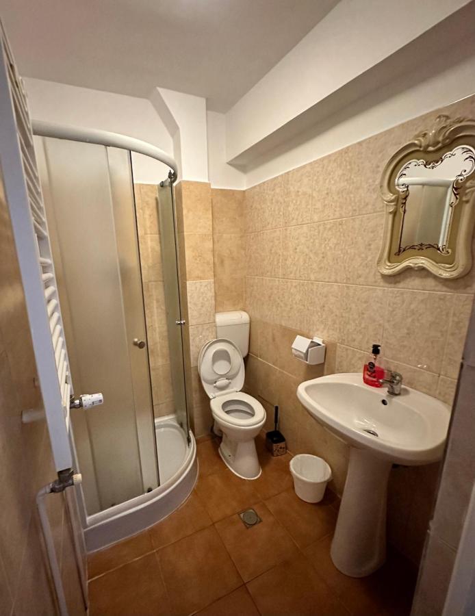 Georgiana Apartments 2 Temeşvar Dış mekan fotoğraf