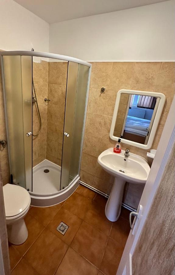 Georgiana Apartments 2 Temeşvar Dış mekan fotoğraf