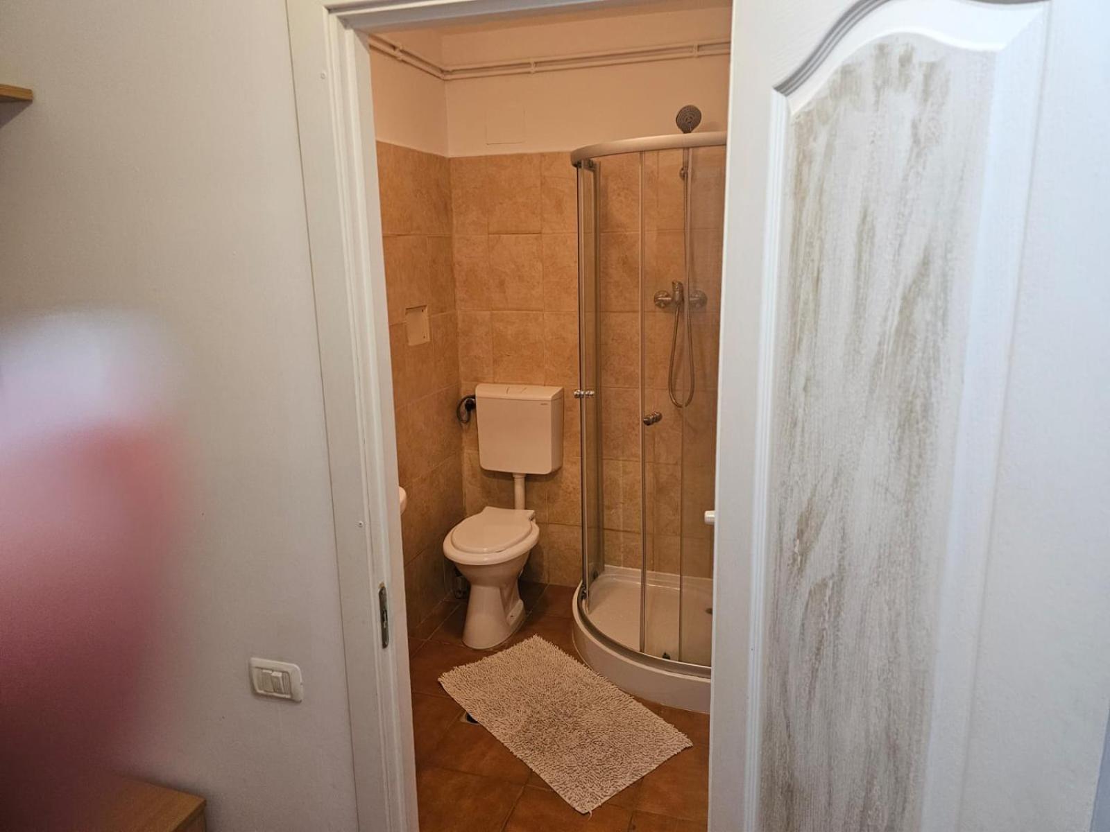 Georgiana Apartments 2 Temeşvar Dış mekan fotoğraf